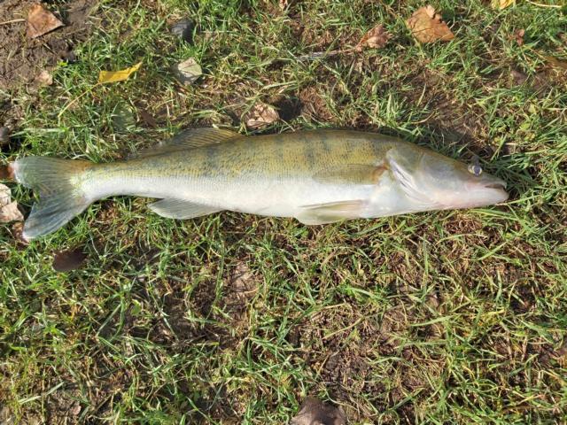 K640_20191025_123235